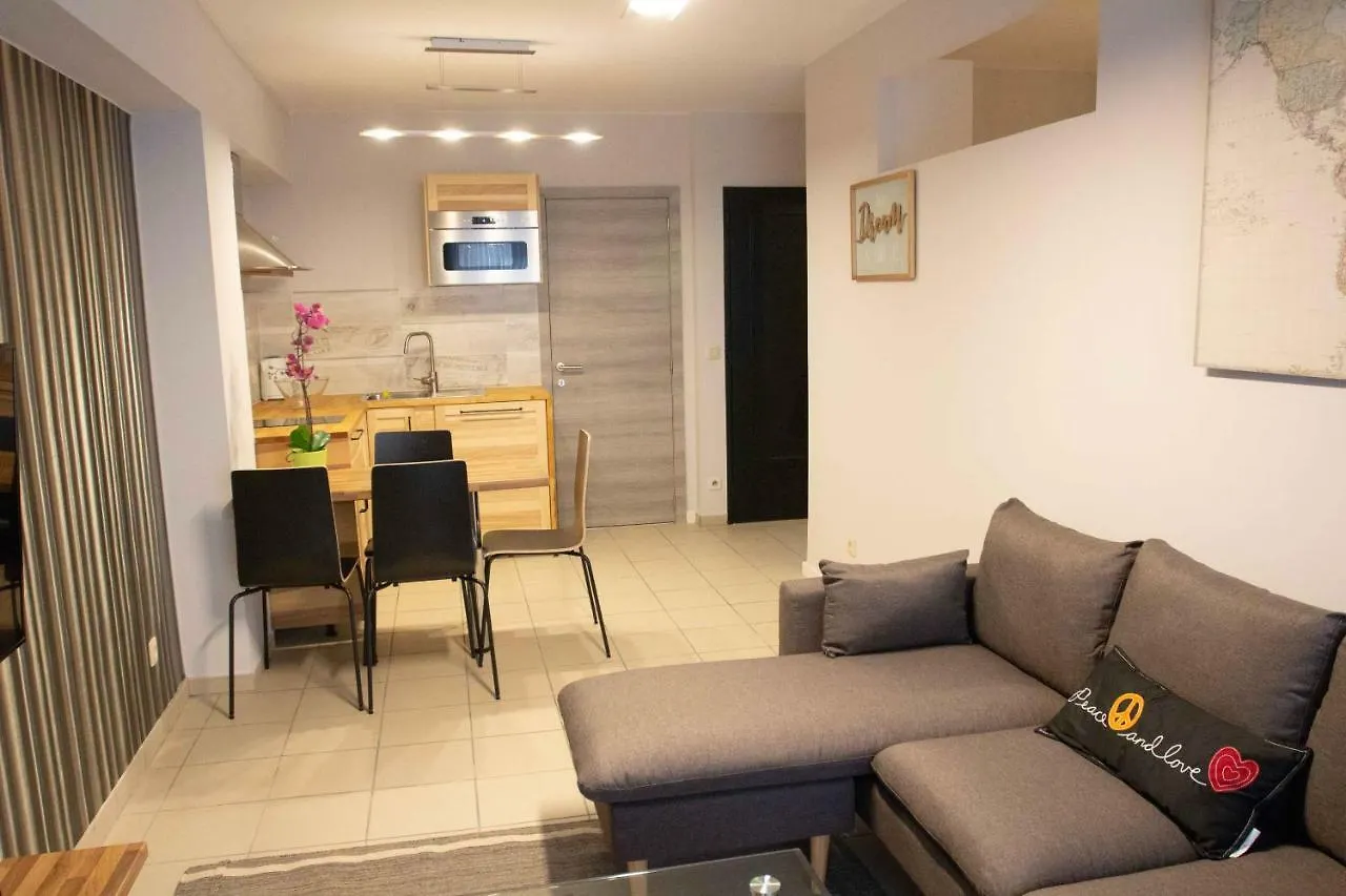 Renovated Apartment In Antwerp City Center Belgium